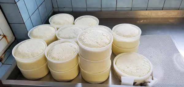 Vente de fromages à la ferme à Ballancy