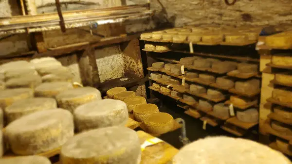Visite de la Ferme de Ballancy