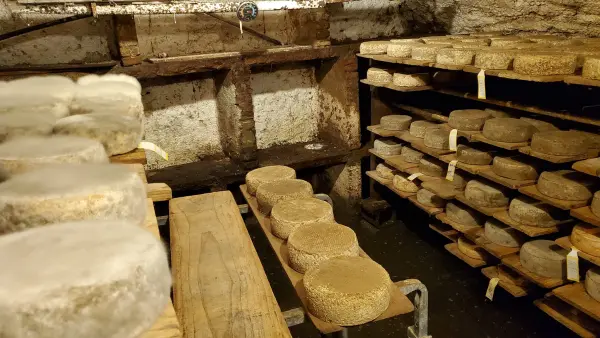 Visite de la Ferme de Ballancy