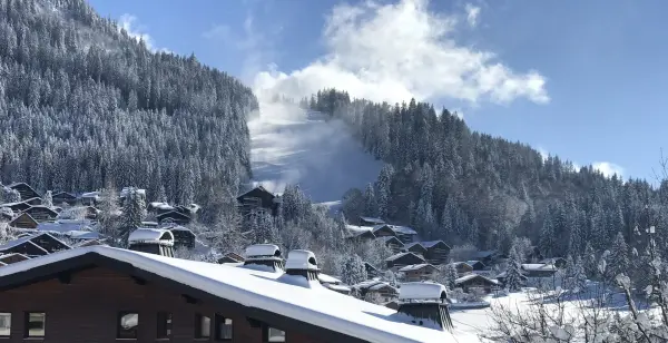 Vue Timalets