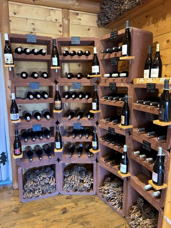 Vins
