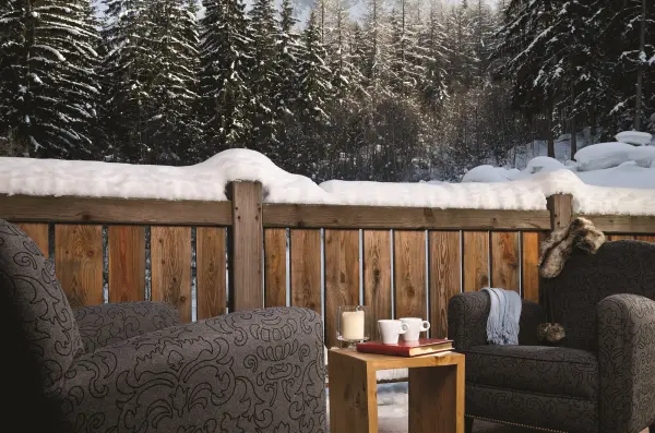 Amazon creek chamonix - terrasse chalet Baby Bear