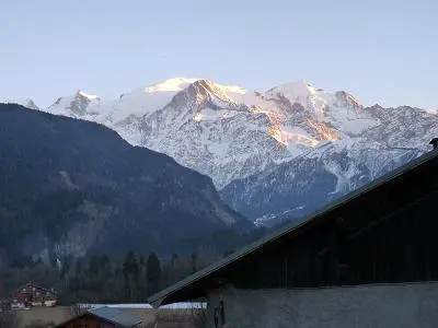 Vue