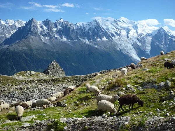 allibert trekking