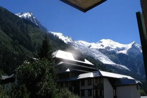Jonquille120_Bernard