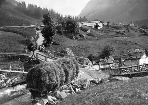 Les-Gatroz-Tardy 6