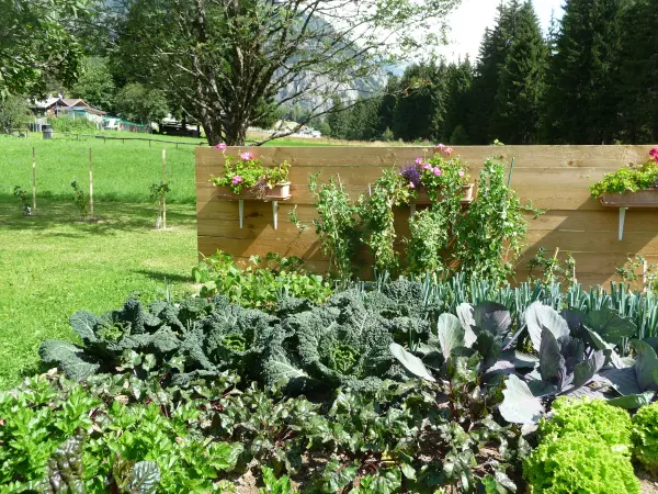 Appartement Mémé Rosa - CHAMEL Potager