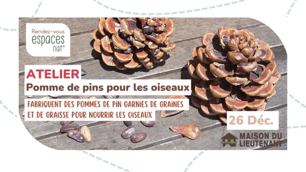 Atelier : Pomme de pins pour les oiseaux