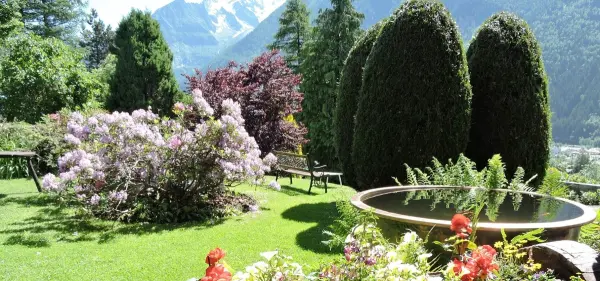 Bois Prin Jardin