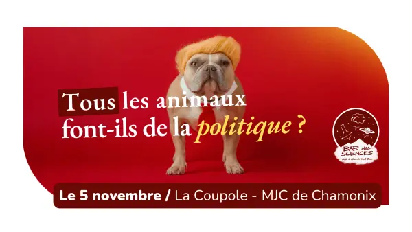 Bar des sciences : Tous les animaux font-ils de la politique ?