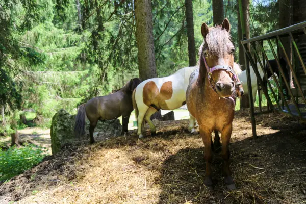 Balade Paradis des Praz