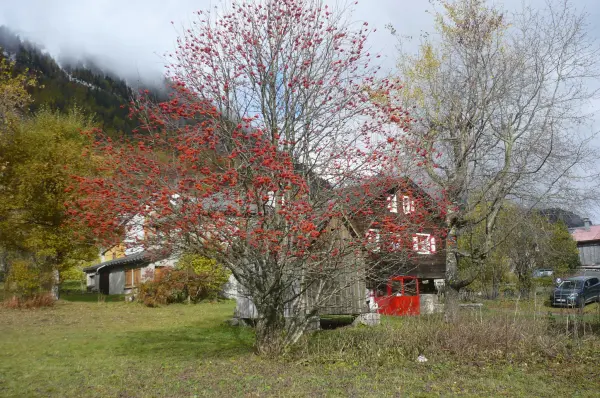 extérieur