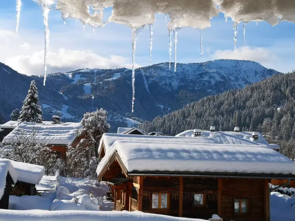 l'extérieur du chalet