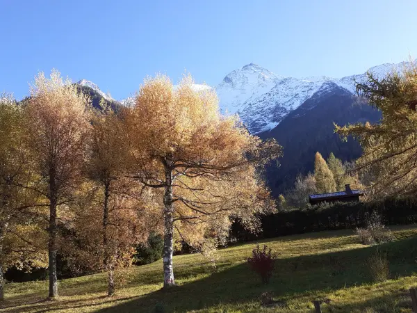 M25_ChaletLesHAutsButtés