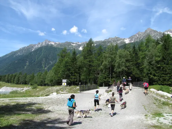 Cani Rando - Huskydalen