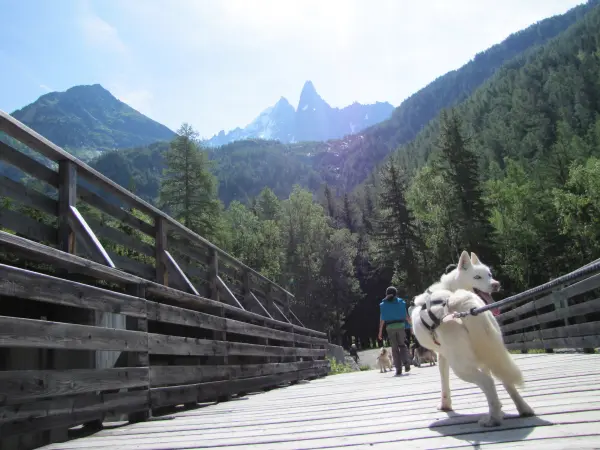cani rando huskydalen