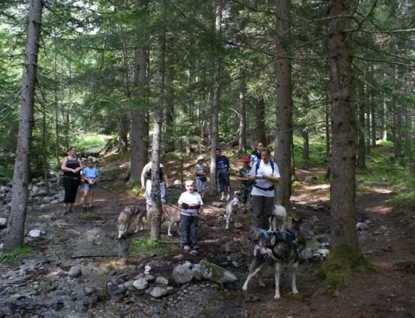 Sortie famille cani-rando