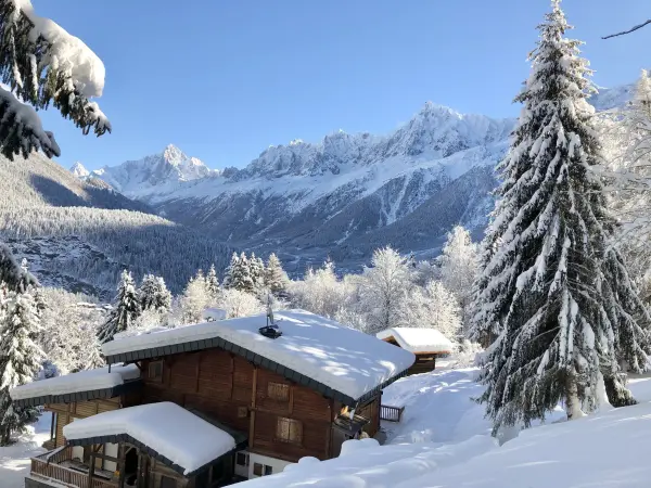Chalet Mountain Vibes