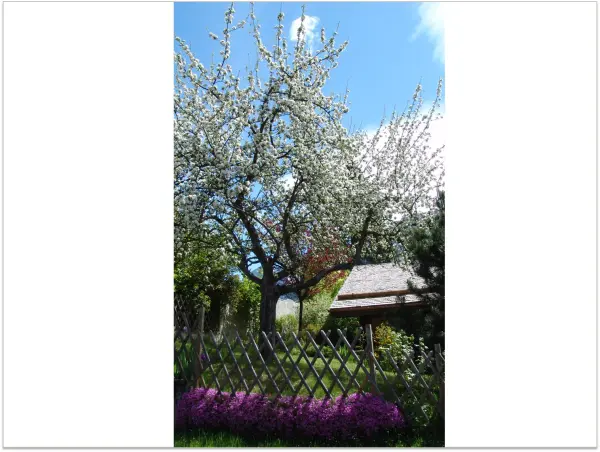 Chalet des Glaciers - vue