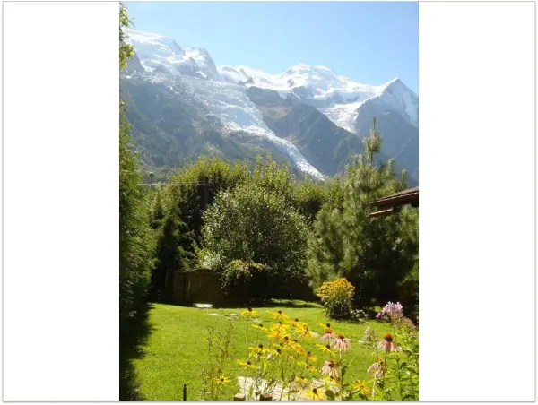 Chalet des Glaciers - Vue Mont-Blanc