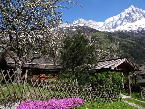 Chalet des Glaciers - Exterieure