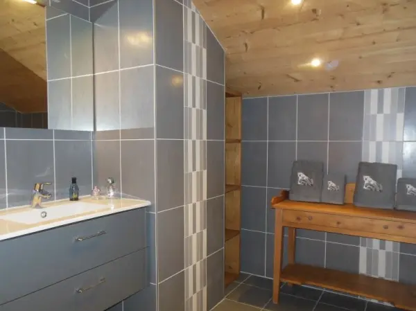 Salle de Bains Chambre Loriaz, baignoire, lavabo, sèche serviette