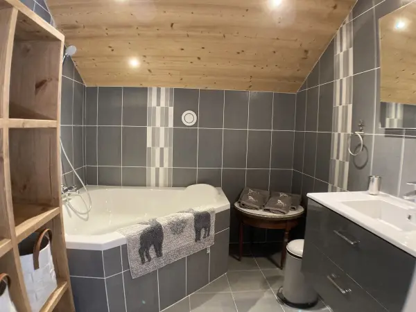 SALLE DE BAINS baignoire-douche, lavabo, sècheserviette, sèche cheveux