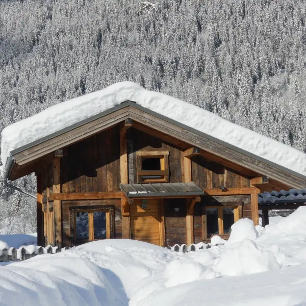 Le chalet "Petit Bornand"
