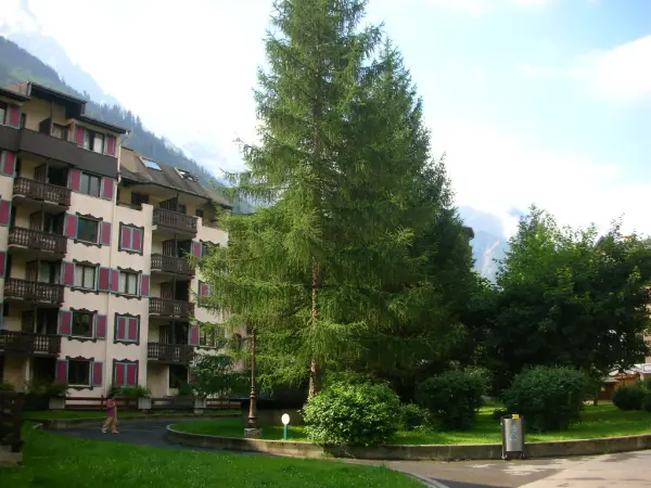 Charmant T2 à Chamonix Sud avec vue sur le Brévent