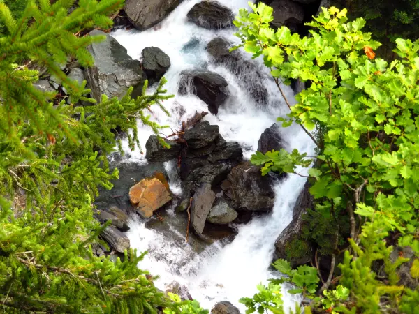 Gorges de la Diosaz