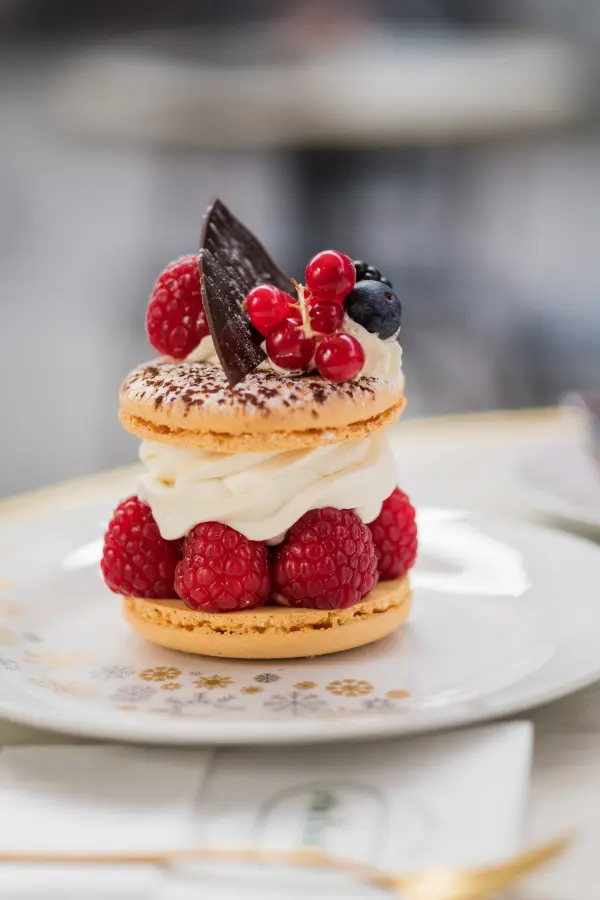 Maxi Macaron