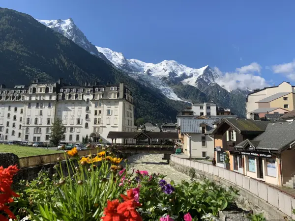 L'arve et CHX Immobilier
