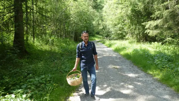 Cours sur les plantes sauvages
