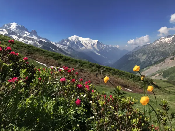 Col de Balme