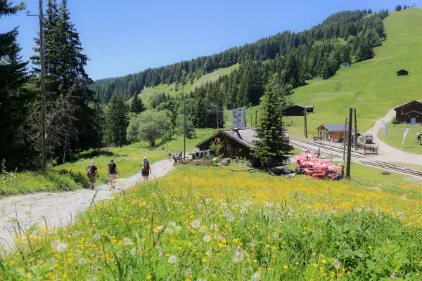 Col de Voza