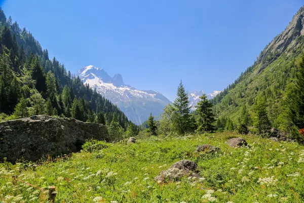 Col des Montets - paysage