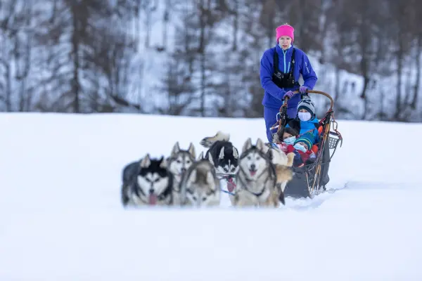 Aventures de rêve en chien de traineau