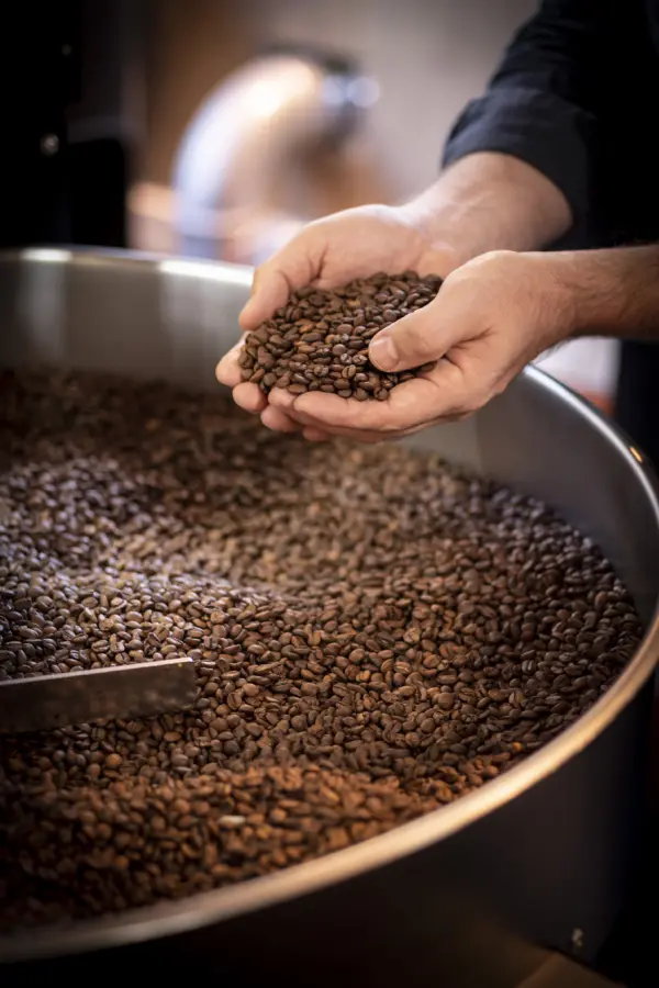 Grains de café torréfiés