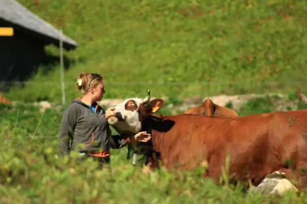 À la ferme