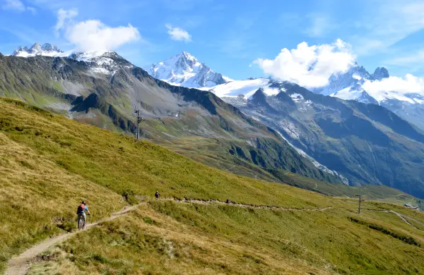 Descente VTT : Piste rouge des Cerfs - Balme - Secteur Chamonix
