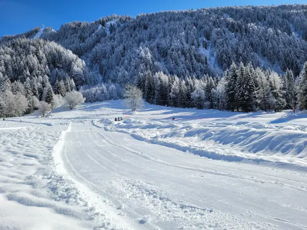 Piste de ski de fond à Argentière