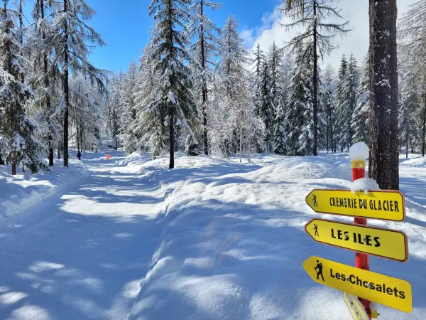 Panneaux sur la piste de fond