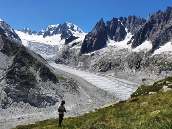 Excursion botanique au Jardin de Talèfre - Compagnie des Guides de Chamonix