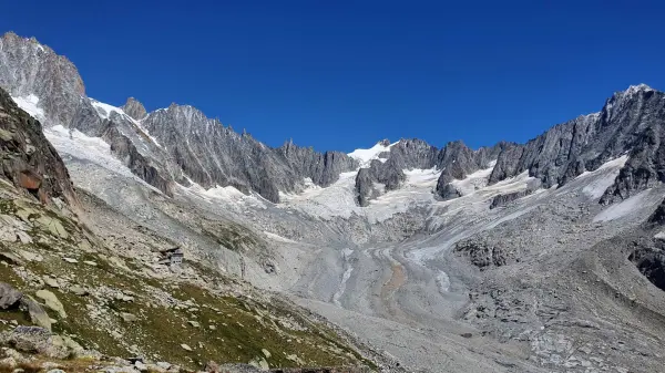 Excursion botanique au Jardin de Talèfre - Compagnie des Guides de Chamonix