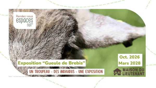 Exposition temporaire Gueule de BREBIS