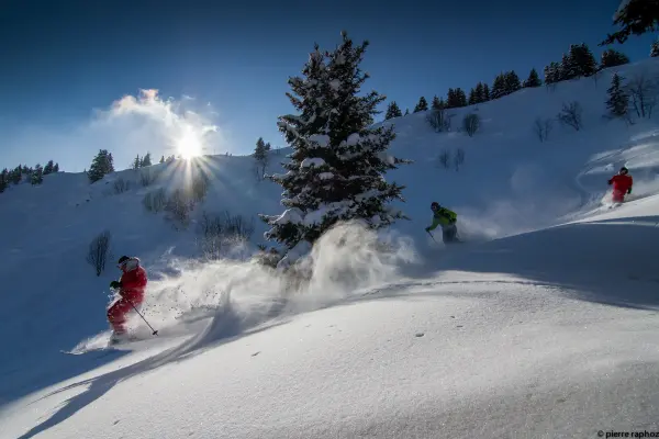 ESF les houches