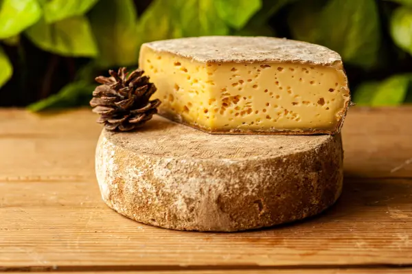 Fromage fermier à venir découvrir