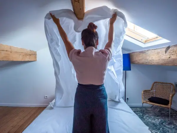 Ménage professionnel
