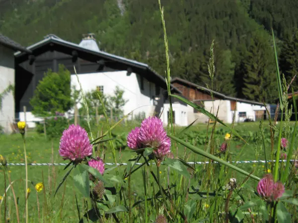 Gîte le Nouveau Grassonnet