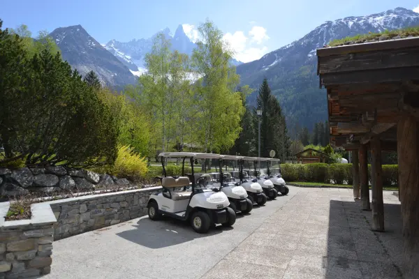 Accueil Golf Voiturettes